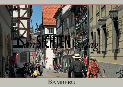 Beautiful white roses